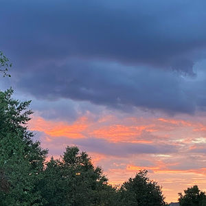 Meet your Posher, Rishwi